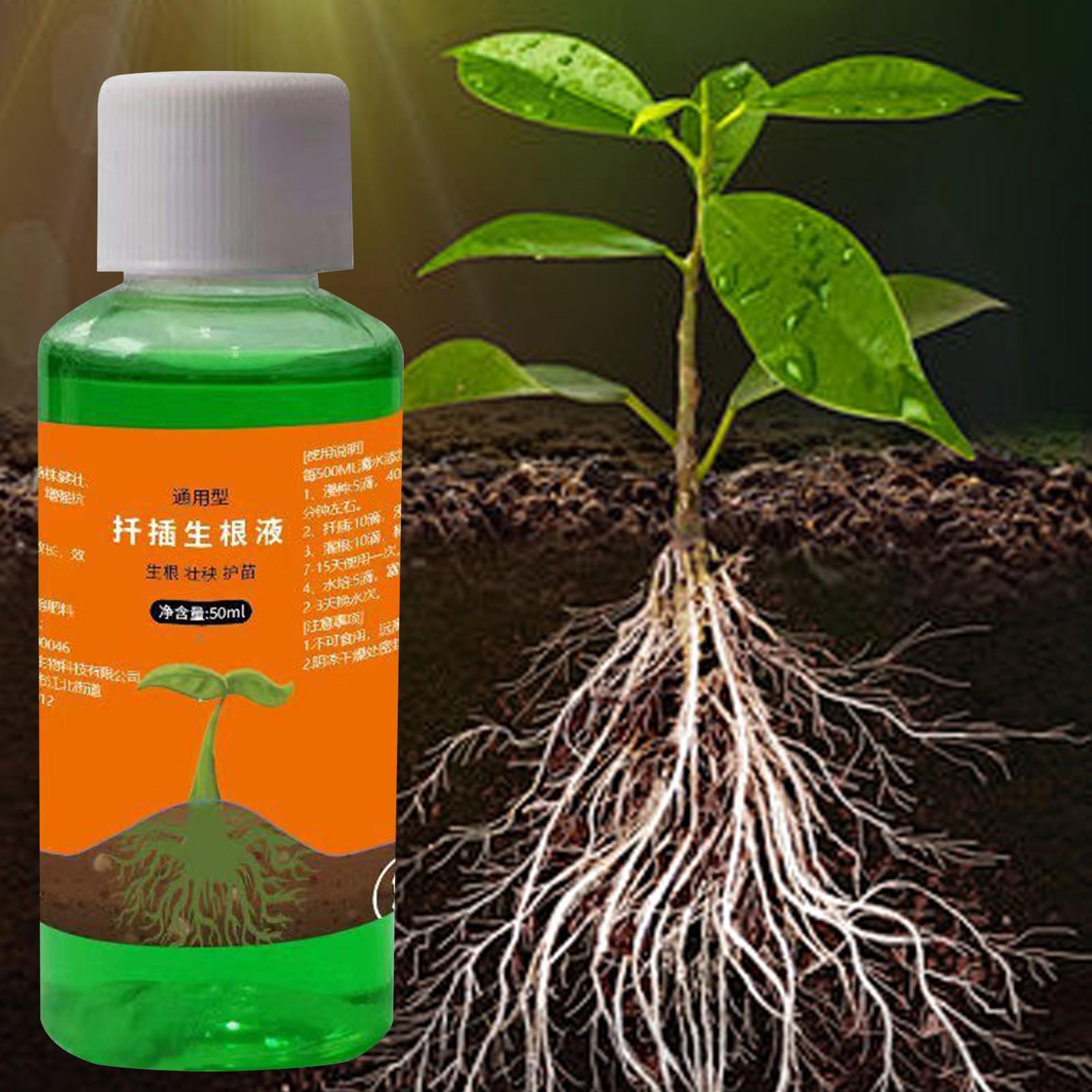 Wysoko skuteczny stymulator ko – Root Stimulator Liquid recenzja i cena